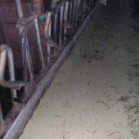 Futterbarrenbeschichtung säurebeständig und hygienisch 