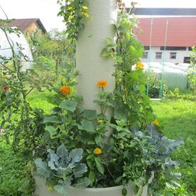 Großpflanztrog, Großepfanzentröge, Tröge für Großpflanzen, Große Pflanztröge, Große Pflanzentröge 